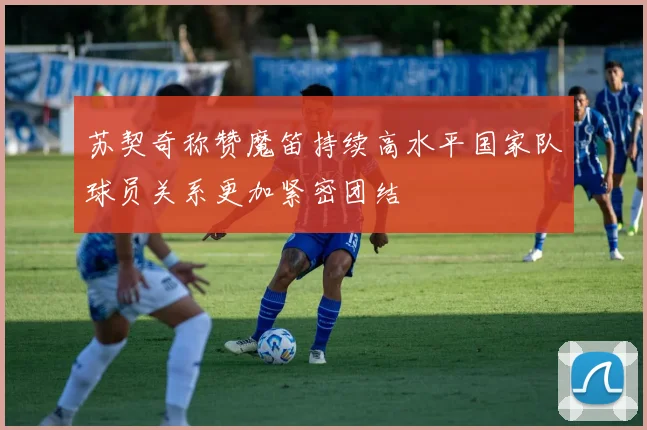 苏契奇称赞魔笛持续高水平国家队球员关系更加紧密团结
